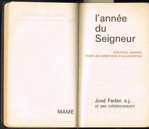 Année seigneur nouveau - l'année,